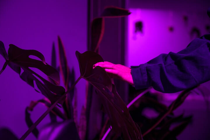 Affordances and Study med Valentina Desideri och Stefano Harney