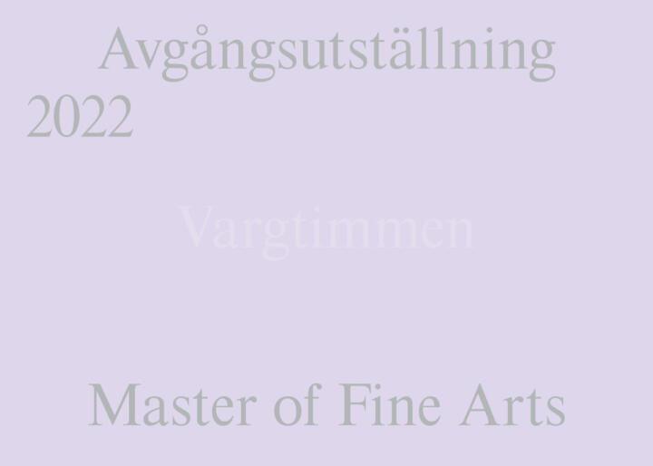 Master of Fine Arts'22