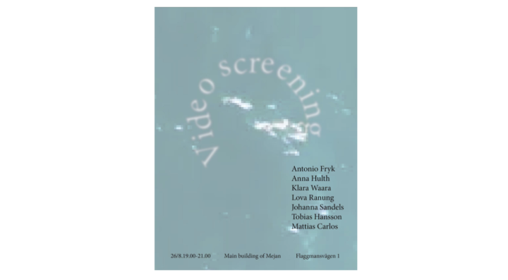 Work in progress, video screening