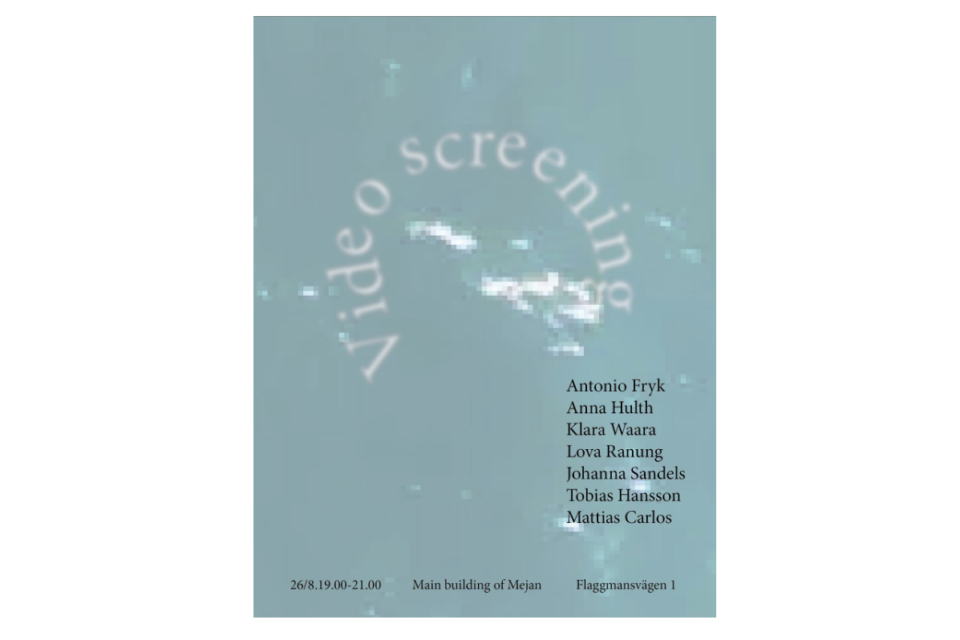 Work in progress, video screening